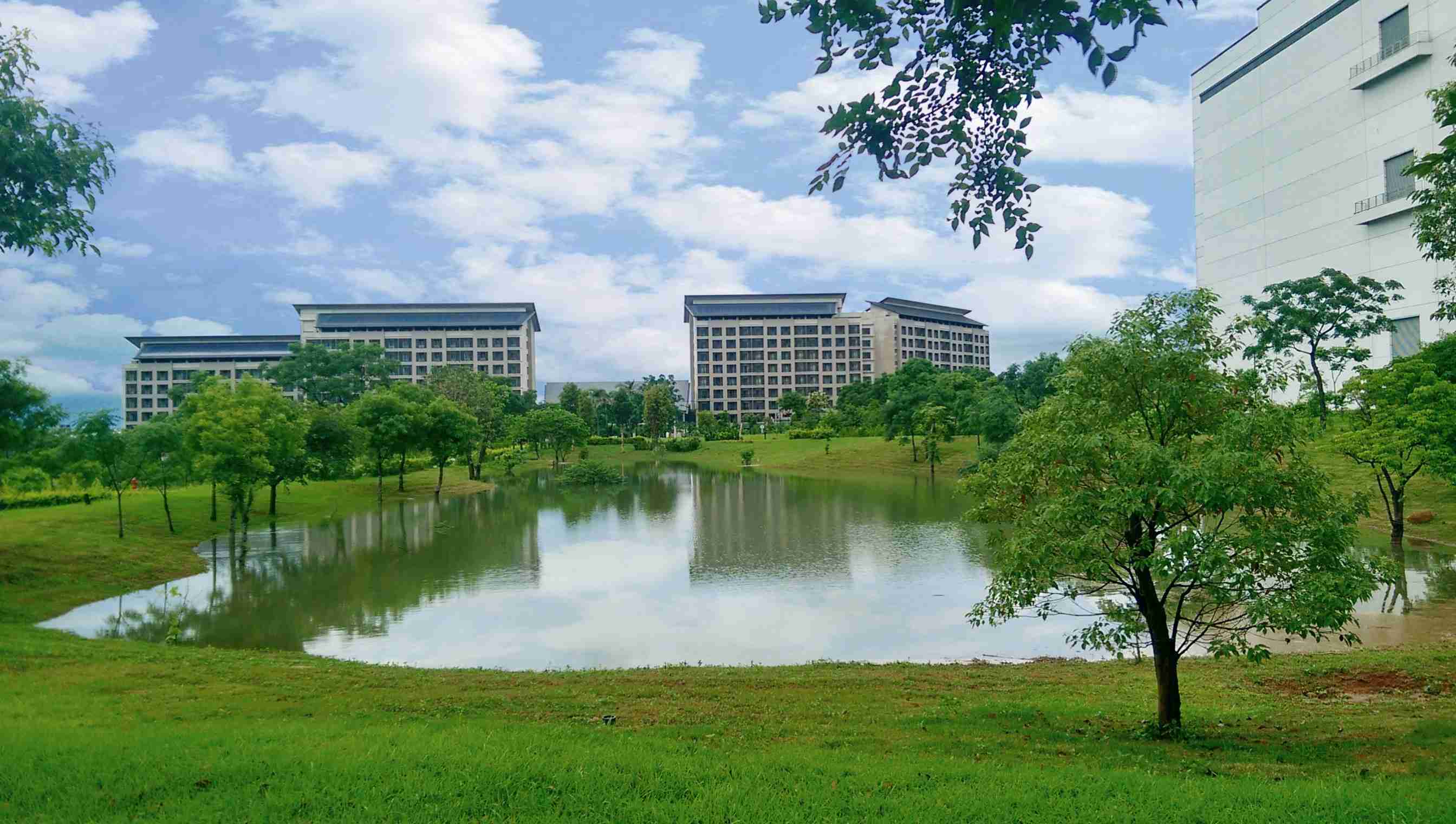 CG电子响应国际倡议生物多样性趋势，，，，首次发布TNFD自然相关财务揭露报告书，，擘划及开展CG电子生物多样性政策之承诺，，，逐步迈向与自然和谐共生